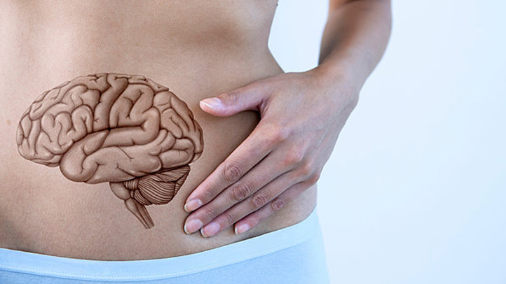 Unravelling the Mystery of the Brain-Gut Connection