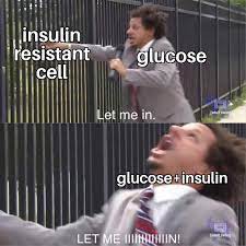 Insulin resistance meme hormones and weight loss