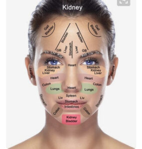 facial organs tcm location rejuvenate skin health with acupuncture