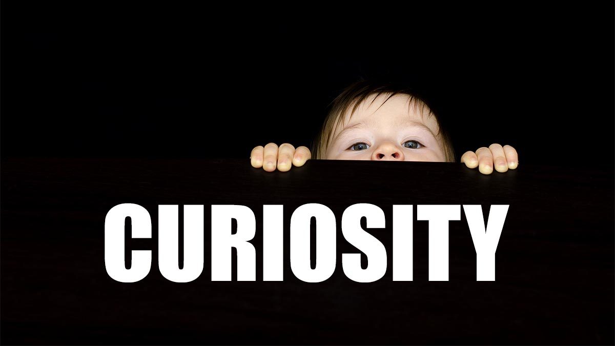 Curiosity Did NOT Kill The Cat!