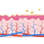 healthy natural skin support for collagen and elasticity and integrity and to protect against wrinkles hormonal cream prescription naturopath ontario